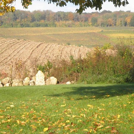 Domaine Du Moulin De L'Etang Acomodação com café da manhã Châtillon-sur-Marne Exterior foto