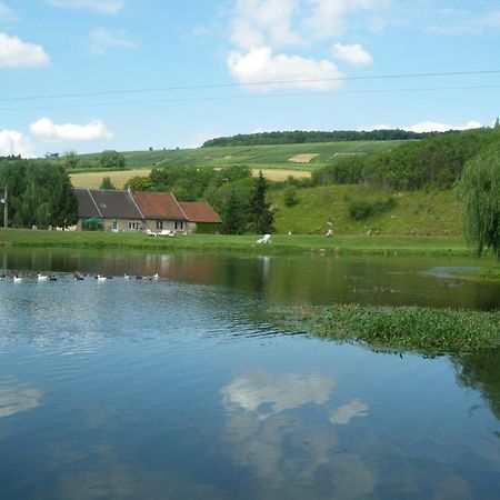 Domaine Du Moulin De L'Etang Acomodação com café da manhã Châtillon-sur-Marne Exterior foto