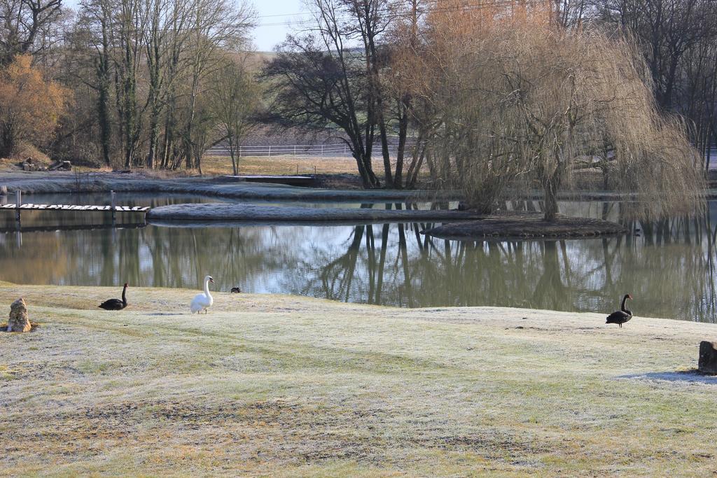 Domaine Du Moulin De L'Etang Acomodação com café da manhã Châtillon-sur-Marne Exterior foto