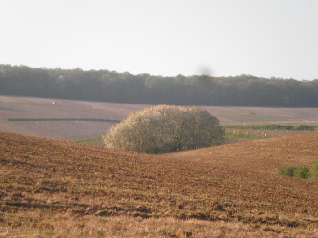 Domaine Du Moulin De L'Etang Acomodação com café da manhã Châtillon-sur-Marne Exterior foto