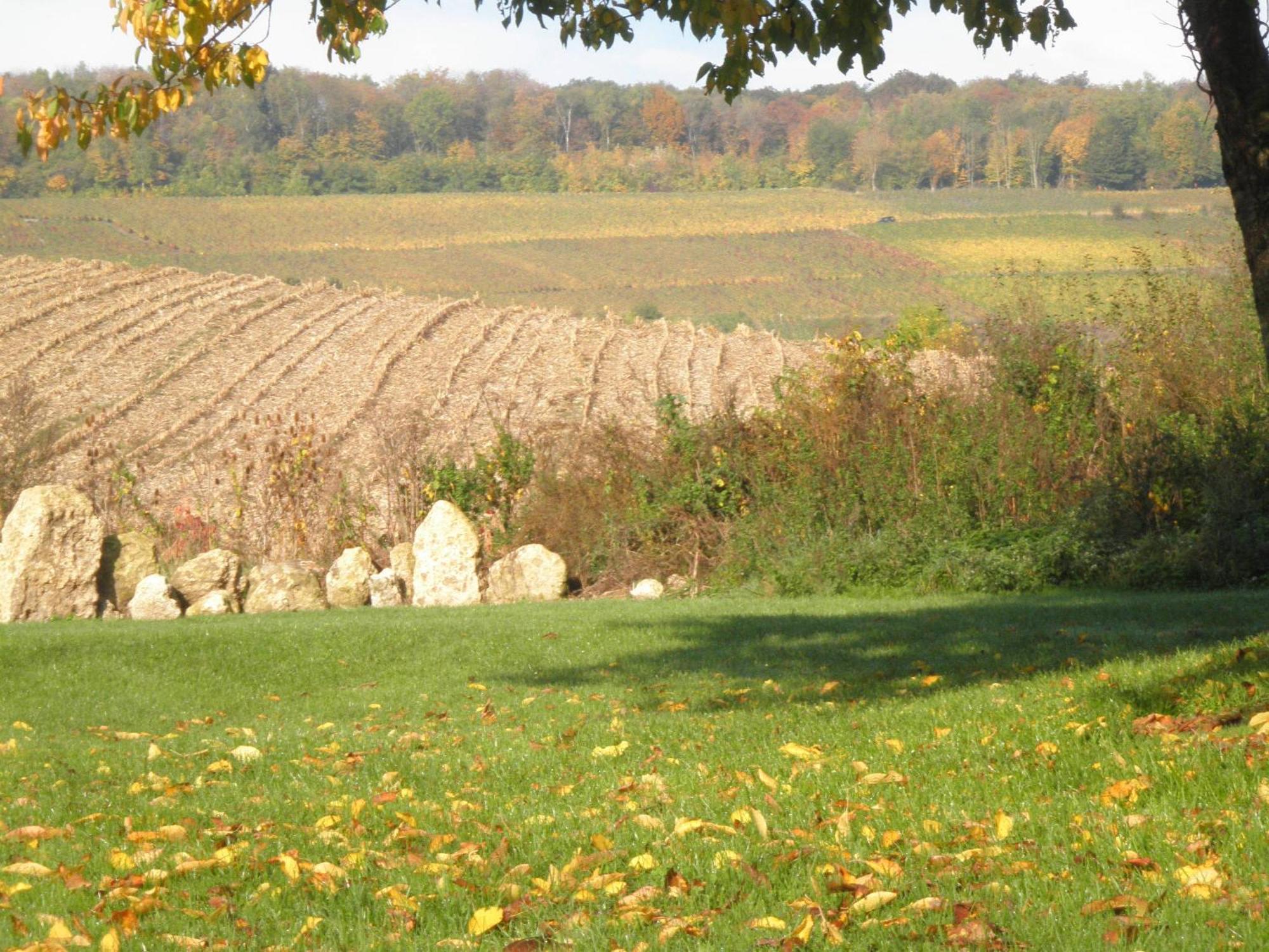 Domaine Du Moulin De L'Etang Acomodação com café da manhã Châtillon-sur-Marne Exterior foto