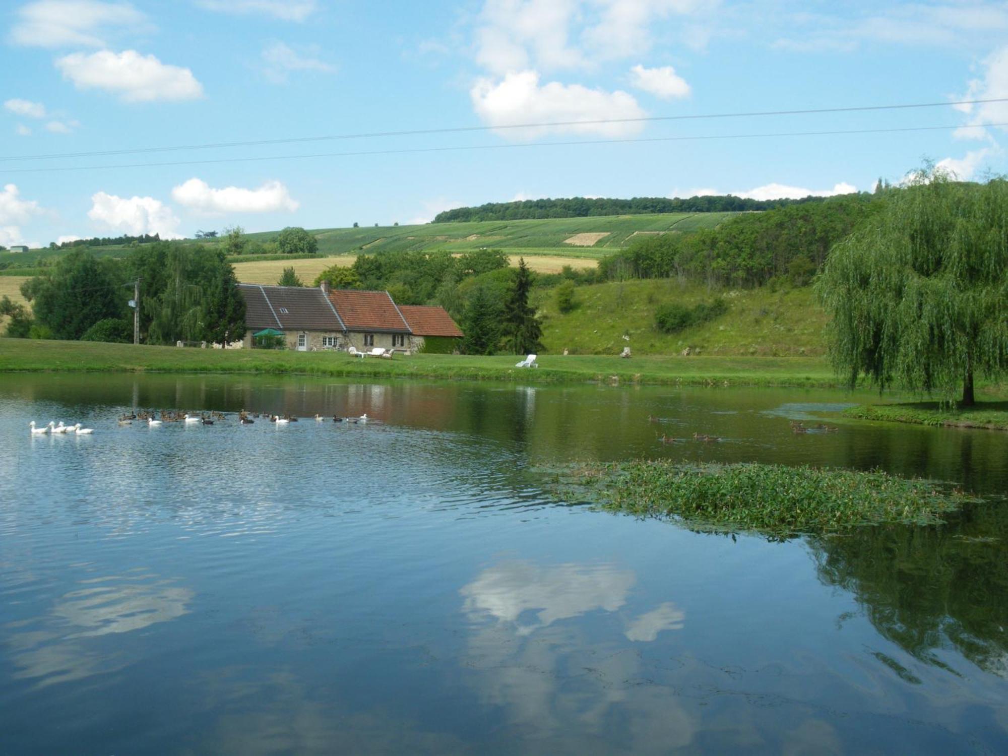 Domaine Du Moulin De L'Etang Acomodação com café da manhã Châtillon-sur-Marne Exterior foto