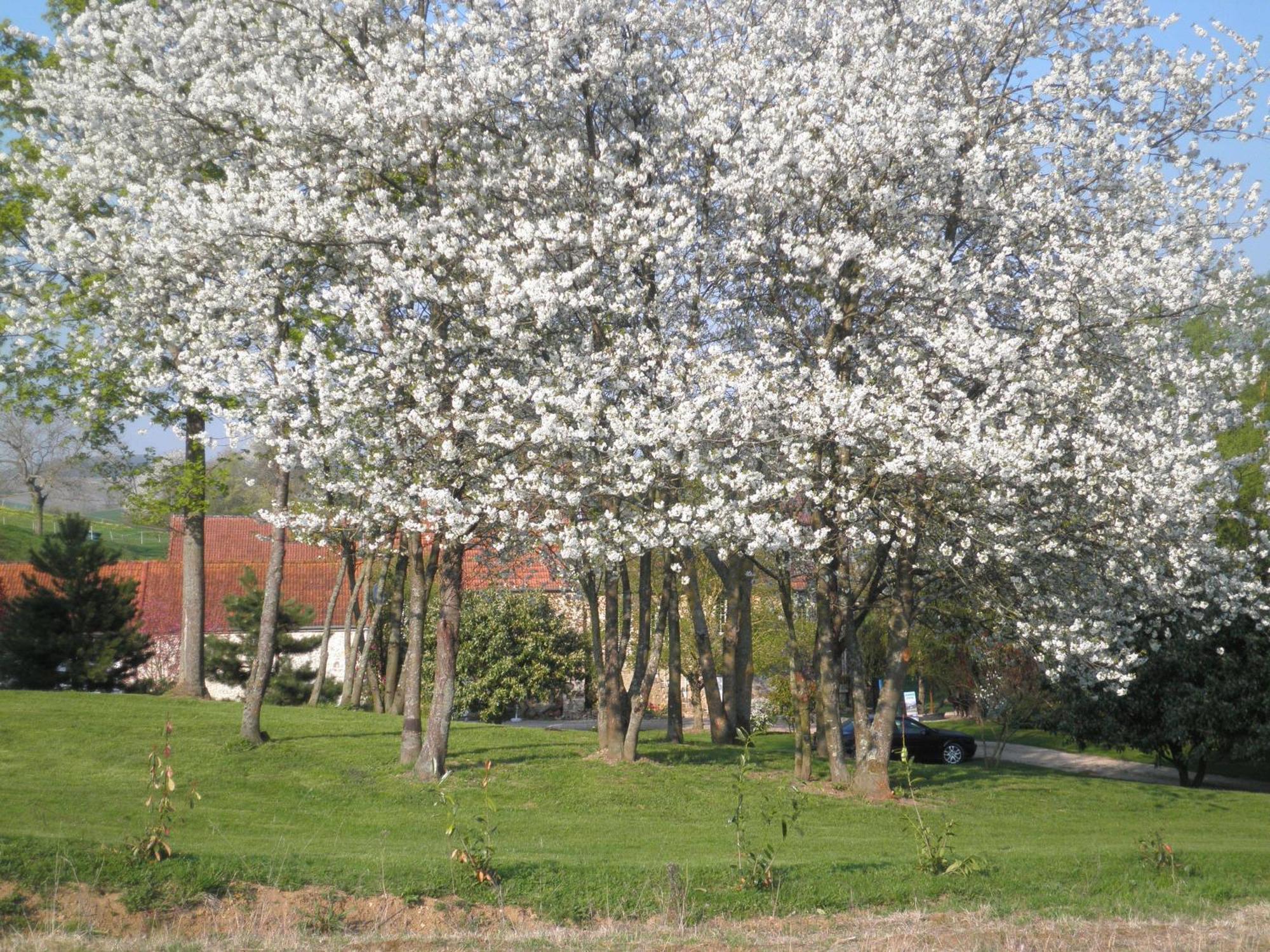 Domaine Du Moulin De L'Etang Acomodação com café da manhã Châtillon-sur-Marne Exterior foto