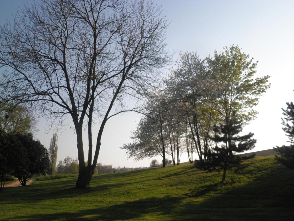 Domaine Du Moulin De L'Etang Acomodação com café da manhã Châtillon-sur-Marne Quarto foto