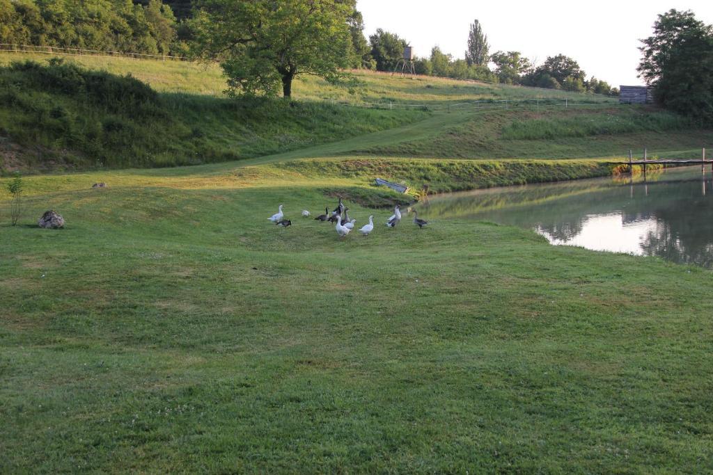 Domaine Du Moulin De L'Etang Acomodação com café da manhã Châtillon-sur-Marne Exterior foto