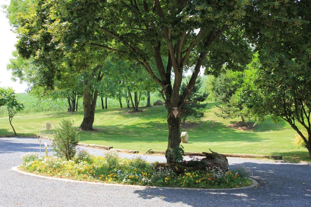 Domaine Du Moulin De L'Etang Acomodação com café da manhã Châtillon-sur-Marne Exterior foto